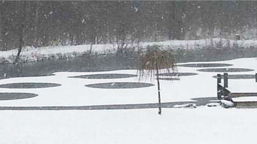 alien pond circles.jpg